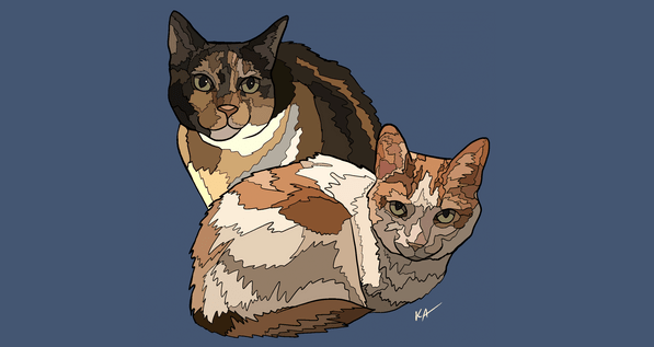 Art of my cats